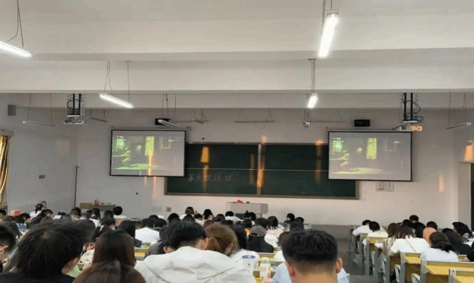 1C3FF